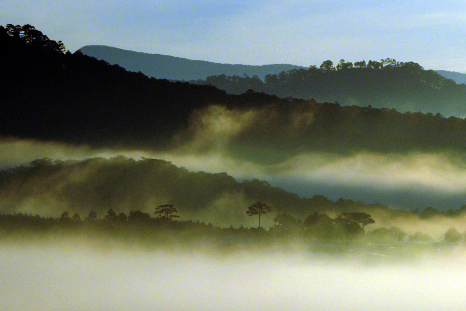krajina, kopec, nebe, uklidnit, ráno, mlha, atmosféra, mrak, strom, mlha, svítání, anawesomeshot, abigfave, Soe, theunforgettablepictures, aplusphoto, golddragon, overtheexcellence, colourartaward, vysočina, ysplix, stanice hill, vietnamland