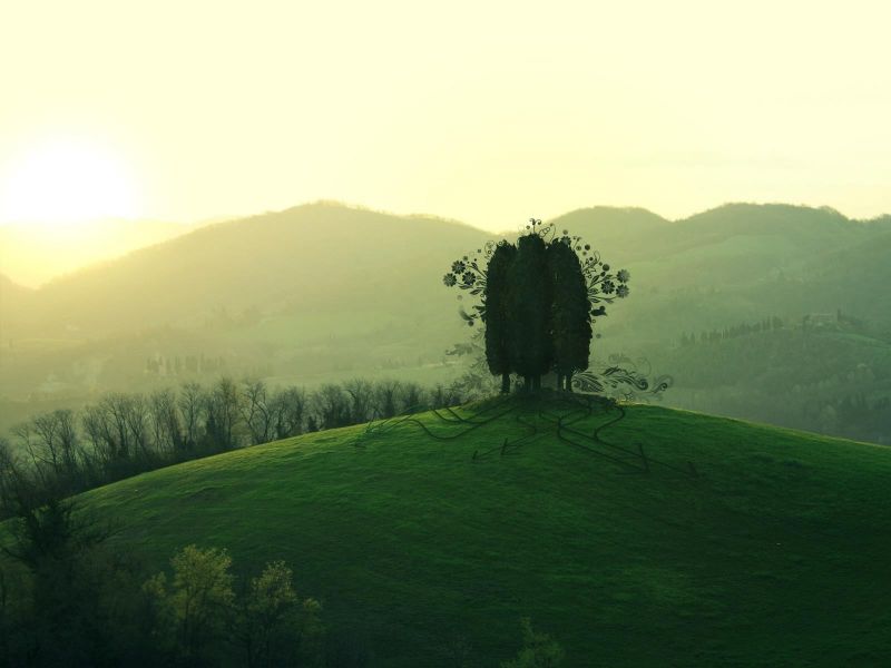 slunečnímu záření, stromy, krajina, kopec, Příroda, les slunečnímu záření, stromy, krajina, kopec, Příroda, les