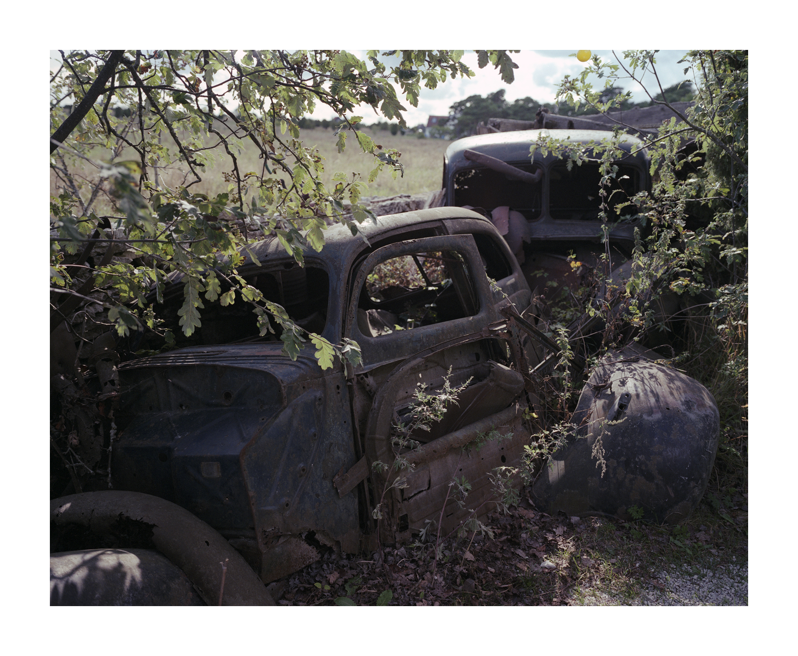 krajina, auto, vozidlo, rez, Švédsko, veteránem, rezavý, strom, cars, film, Gotland, klasický, prošlý, 6x7, dálkoměr, opuštěný, 120, automobilový exteriér, kompaktní vůz, motorové vozidlo, střední velikost auta, mediumformat, 65mm, faro, mamiya7ii, fujinph400, Kutensbensin