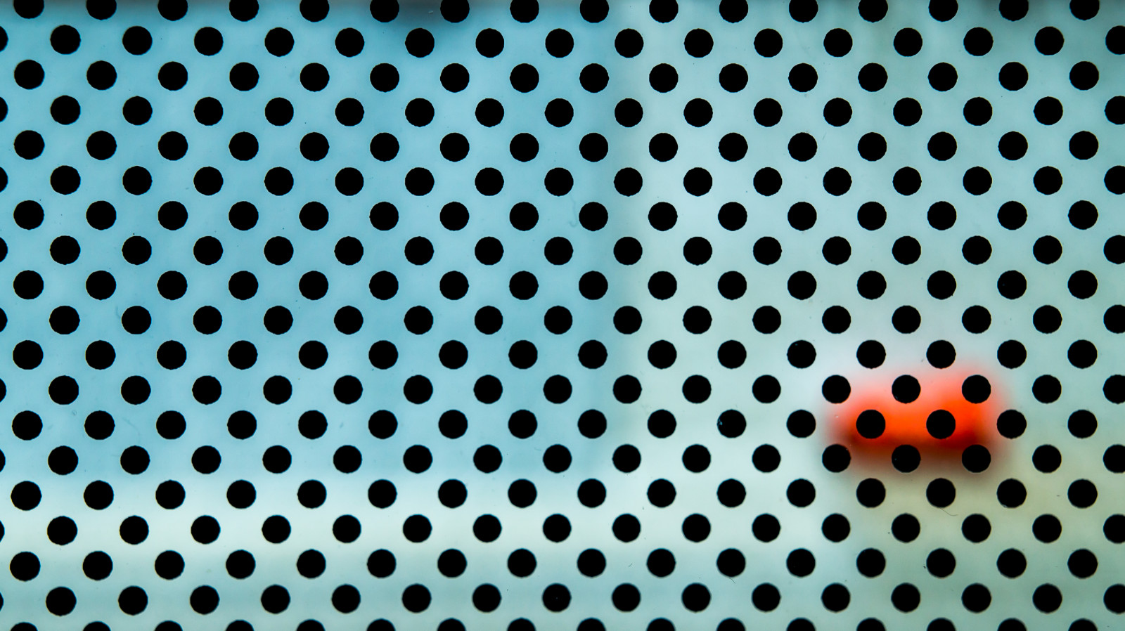 สีน้ำเงิน, ดำและขาว, ส้ม, สีขาว, นามธรรม, ดำ, ศิลปะ, หน้าต่าง, กระจก, การถ่ายภาพ, รูปภาพ, สนามบิน, เท็กซัส, dof, สหรัฐ, ภาพถ่าย, bokeh, โซนี่, ฮูสตัน, ขั้ว, ลายจุด, จุด, sonynex, sonynexf3