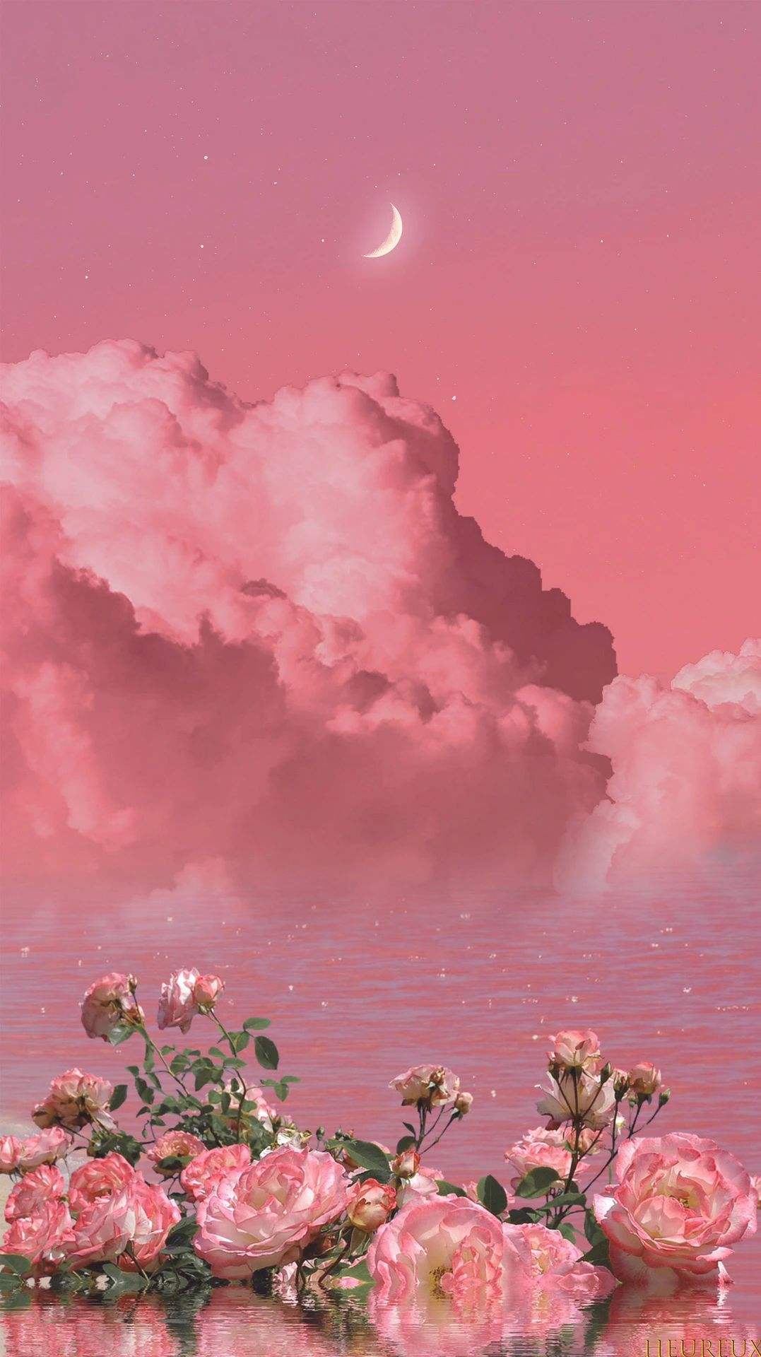 himmel, blomst, plante, atmosfære, fotografi, hvid, Måne, lys, natur, halvmåne, Sky, kronblad, lyserød, rød, himmellegeme, cumulus, KUNST, skønhed, magenta, bunddække, Natural landscape, etårig plante, urteagtig plante, begivenhed, himmelsk begivenhed, landskab, måneskin, blomstrende plante, rosenfamilien, blomst, wildflower, maleri, steg ordre, Busk, aften, skumring, coquelicot, efterglød, stængelplante, jord, horisont