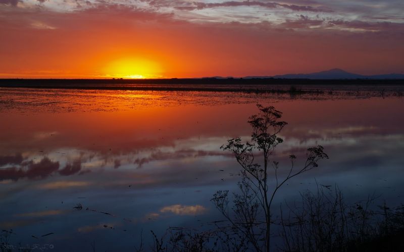 1440x900 piksel,doğa,gün batımı