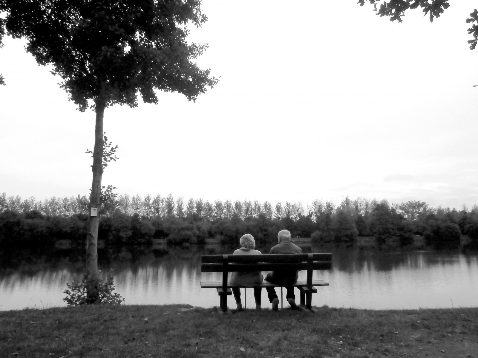 sollys, træer, landskab, hvid, sort, monokrom, sø, vand, natur, afspejling, græs, himmel, fotografering, afdeling, berolige, aften, morgen, rustning, flod, horisont, atmosfære, Frankrig, fransk, Bank, noir, paysage, vådområde, Sky, træ, plante, refleksioner, arbre, lac, blanc, reflet, søer, blackwhitephotos, Bretagne, BZH, Miroir, bayou, breizh, lak, darmor, sort og hvid, monokrom fotografering, vedplante, Evran, betineuc, stock photography