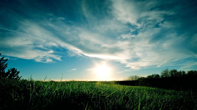 sunlight, dark, sunset, nature, grass, landscape sunlight, dark, sunset, nature, grass, landscape