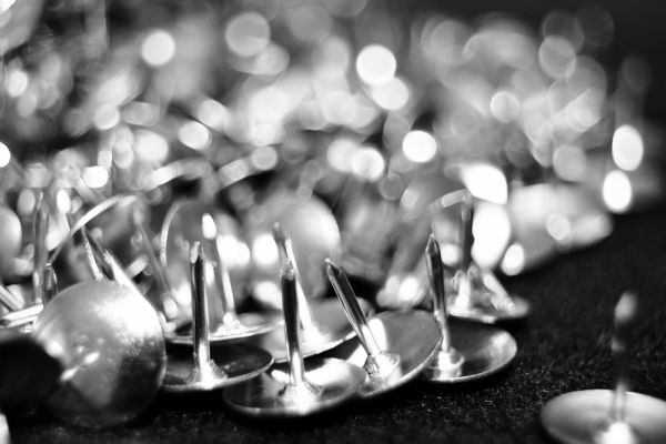 black,monochrome,photography,macro,drawing,white