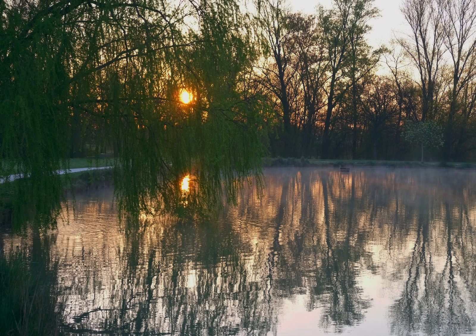 slunečnímu záření, krajina, les, jezero, voda, Příroda, odraz, větev, večer, ráno, mlha, řeka, slunce, Francie, divočina, rybník, bažina, paysage, Fujifilm, mokřadní, strom, podzim, list, rostlina, sezóna, fuji, mléko, eau, XE1, bayou, zálesí, bažina, místo výskytu, přírodní prostředí, atmosférický jev, dřevina, Midi-Pyrénées, leverdujour, Haute-Garonne, plaisancedutouch, lacsoula