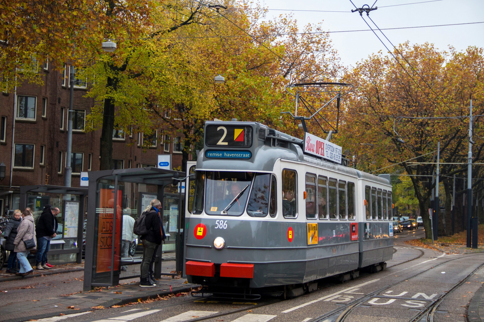 tramvaj, doprava, druh dopravy, dráha, Metropolitní oblast, elektřina, strom, sousedství, veřejná doprava, vozidlo, lanovka, elektrické napájení, metropole, město