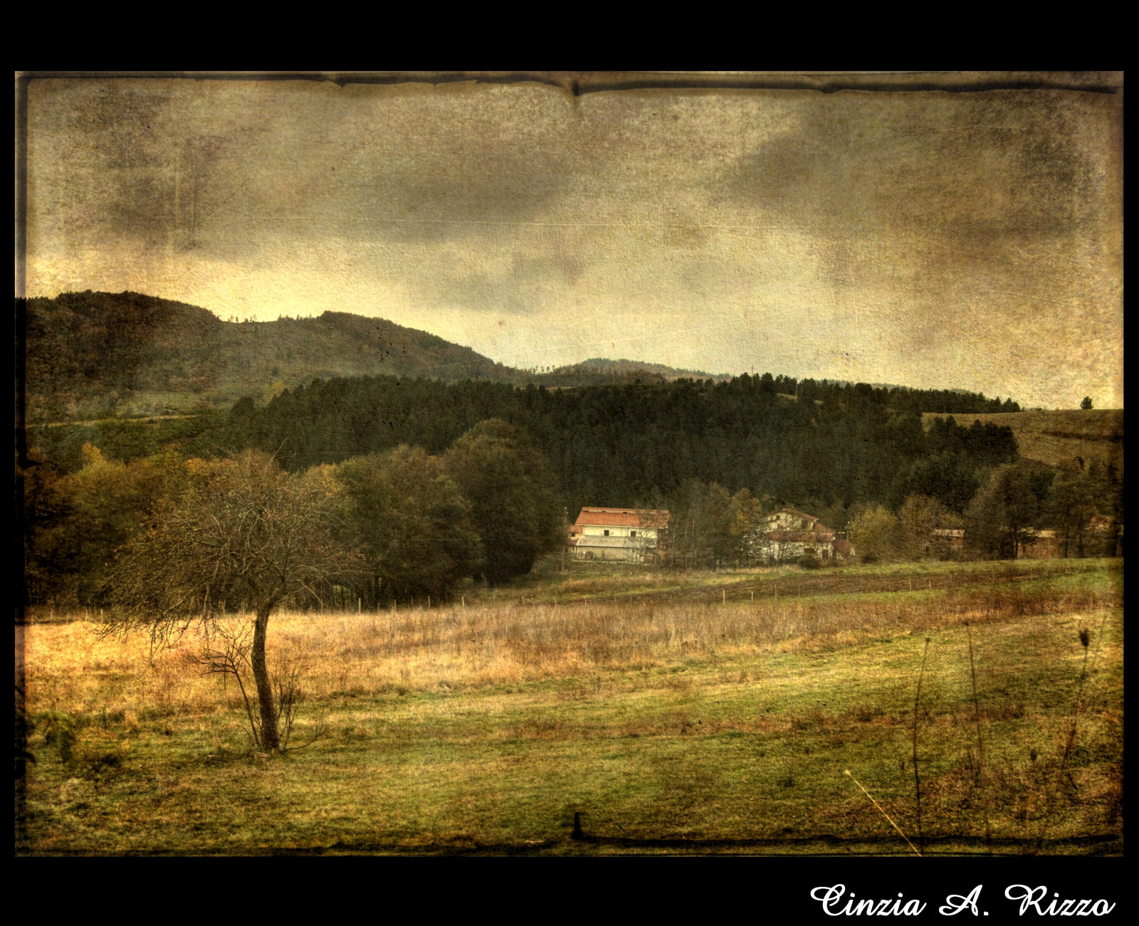 podzim, textura, saudade, autunno, Calabria, malinconia, sila, impressedbeauty, ultimateshot, fataetoile, memoriesbook, magicunicornverybest, cinziaarizzo, lenabemanna, magikart