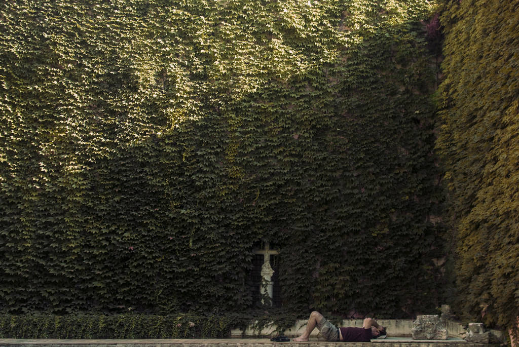 podzim, světlo, stín, slunečnímu záření, muž, verde, zelená, podzim, hoja, luz, listy, stěna, temný, odpočinout si, hojas, pared, grande, list, velký, Sevilla, sama, Klid, stíny, přejít, Myslet si, Sombra, uklidnit, Sevilla, cruz, descansar, sólo, obrovský, Otono, odpočinek, chlad, Sombras, pensar, hombre, Silencio, položit, oscuro, Enorm, Klid, Relajar, Luzdelsol, Tumbar, Yacer