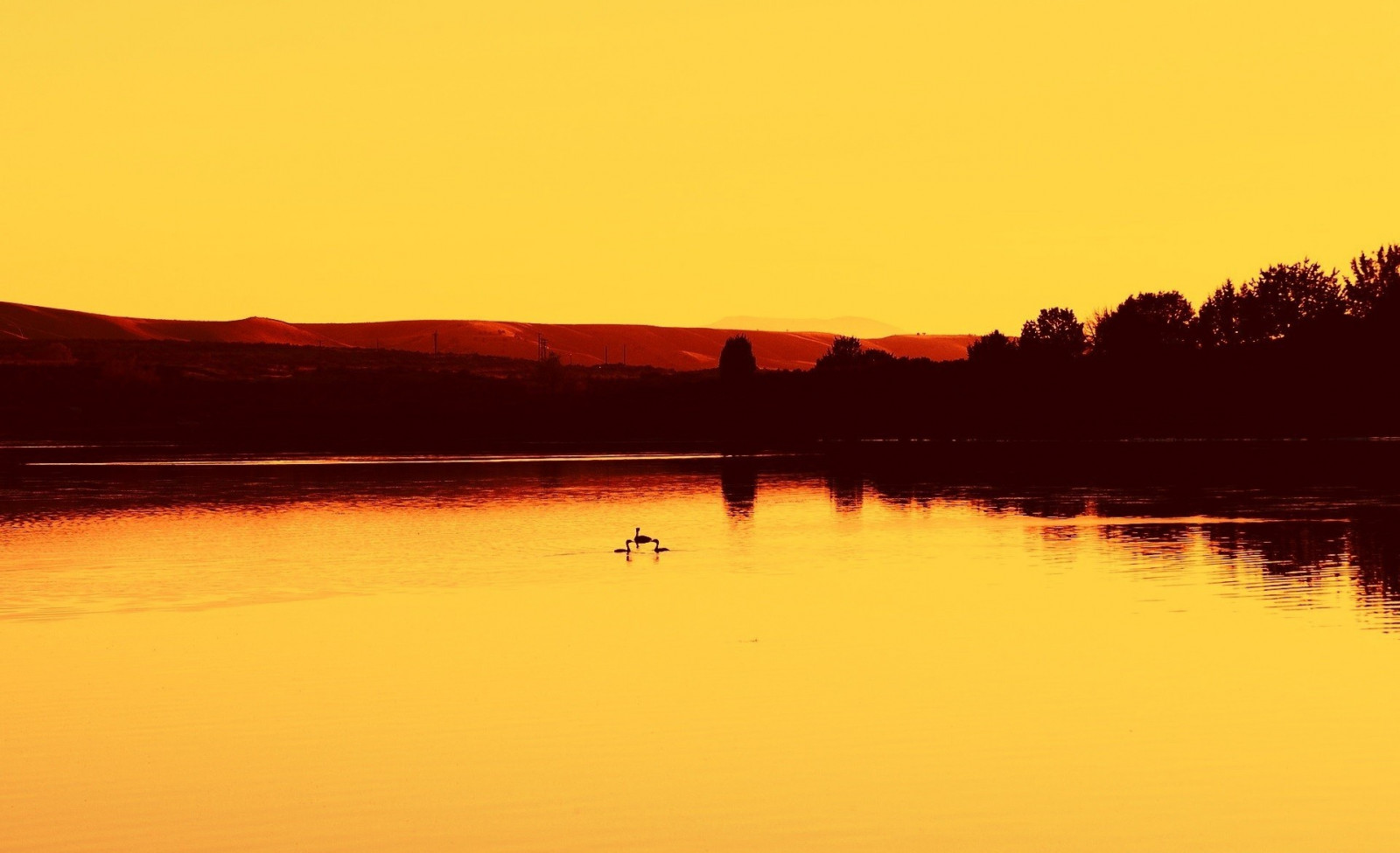 Sonnenlicht, Bäume, Landschaft, Sonnenuntergang, Meer, See, Wasser, Betrachtung, Fotografie, Sonnenaufgang, Abend, Morgen, Sonne, Orange, Dämmerung, Dämmerung, Reservoir, See, Nachglühen, 1919x1171 px