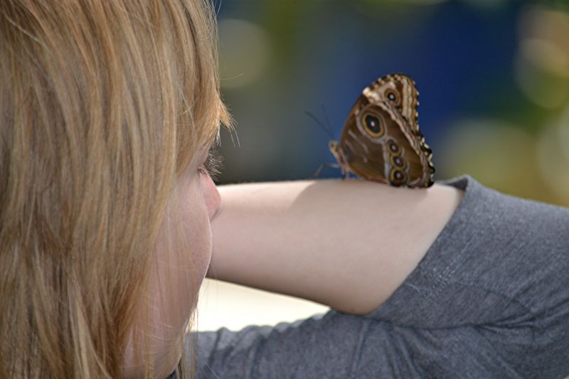 modrý,vlasy,nos,kůže,hlava,zavřít