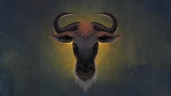1920x1080 px,GNU,GNU Linux,Linux
