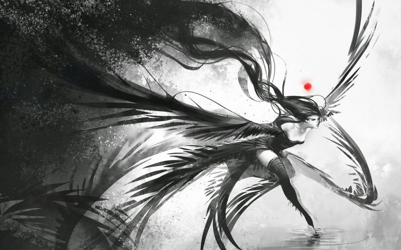 výkres, ilustrace, fantasy umění, křídlo, skica, černobílý výkres, ilustrace, fantasy umění, křídlo, skica, černobílý
