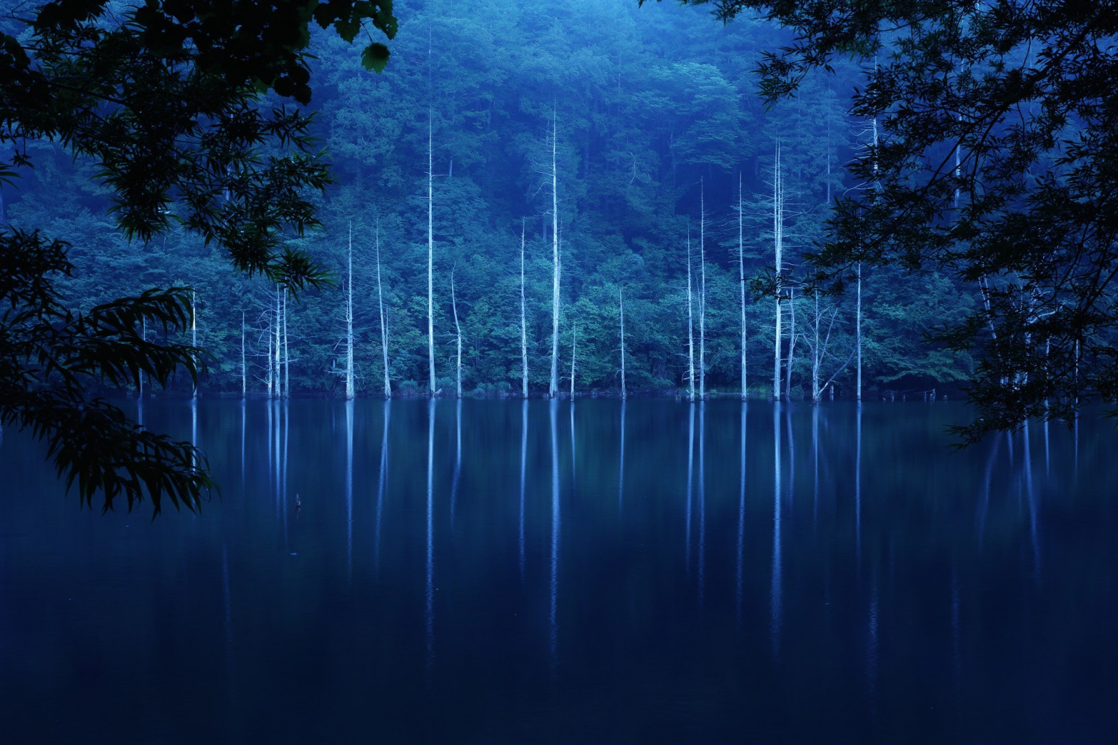 Wallpaper 2048x1365 px, forest, lake, landscape, trees 2048x1365