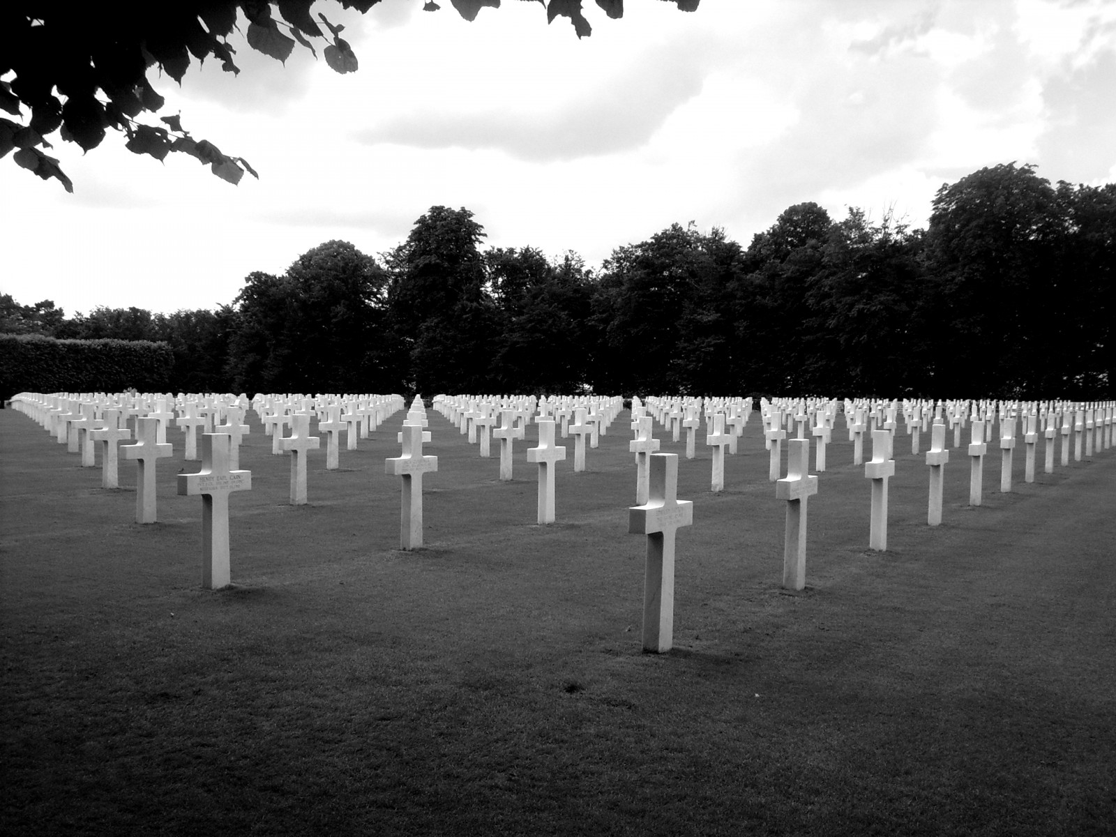 bílý, Černá, černobílý, tráva, nebe, válka, fotografování, symetrie, Francie, hřbitov, pamětní, mrak, strom, ruby5, guerre, friedhof, vojáci, Frankreich, Černý a bílý, monochromatické fotografování, dřevina, náhrobní kámen, Soldaten, Krieg, 1weltkrieg