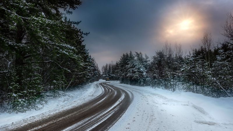 bosque, naturaleza, invierno, luz de sol, paisaje, nieve bosque, naturaleza, invierno, luz de sol, paisaje, nieve