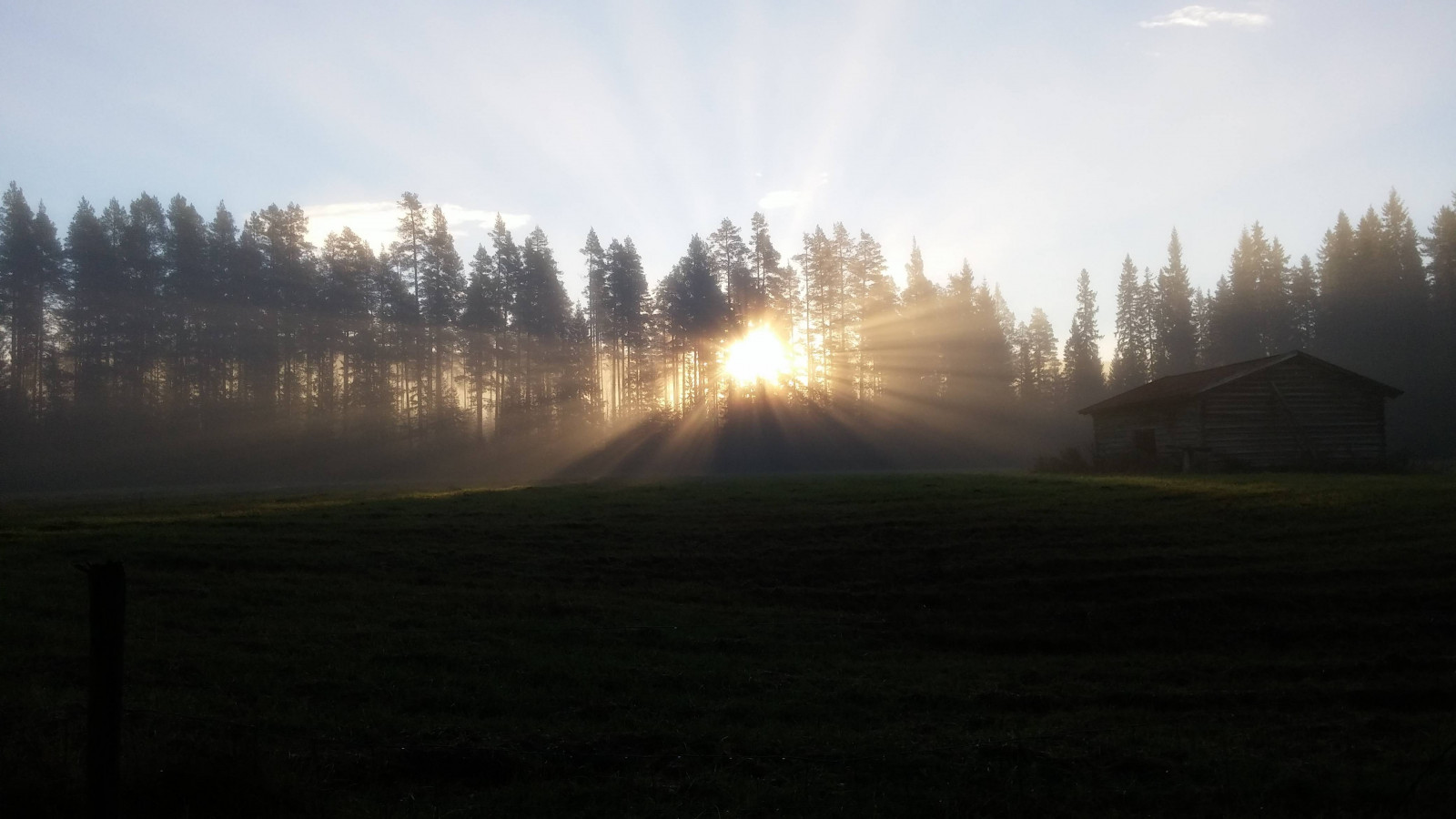 luce del sole, foresta, tramonto, notte, collina, natura, erba, cielo, campo, casa, Alba, sera, mattina, nebbia, Sole, orizzonte, atmosfera, Svezia, crepuscolo, leggero, nube, albero, nebbia, montagna, tempo metereologico, alba, oscurità, area rurale, fenomeno atmosferico, atmosfera della terra, oggetto astronomico