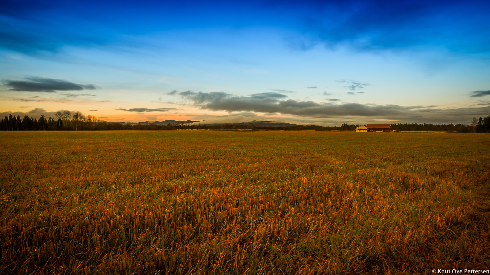 modrý, podzim, stromy, světlo, nebe, koně, kůň, slunečnímu záření, barvy, pole, Norsko, mraky, les, teplý, flickr, Klid, venkovní, hospodařit, nízký, kultura, modrá obloha, hobby, kopce, prozkoumat, lowclouds, lanscape, zemědělský, aktivity, peacful, h st, Romerike, landskap, horsefarm, Nannestad, lowsunlight, farmes, kulturlandskap, culturelandscape