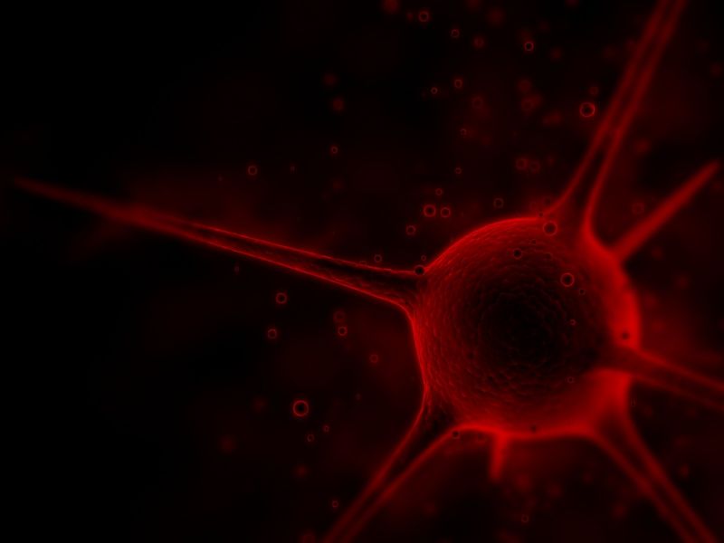 slunečnímu záření, digitální umění, prostor, Červené, kruh, odlesk objektivu slunečnímu záření, digitální umění, prostor, Červené, kruh, odlesk objektivu