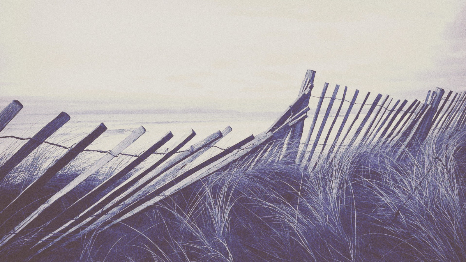 nebe, zima, nachový, plot, suchá tráva, zlomený, zmrazení, Pírko, čára, 1916x1078 px, stock photography