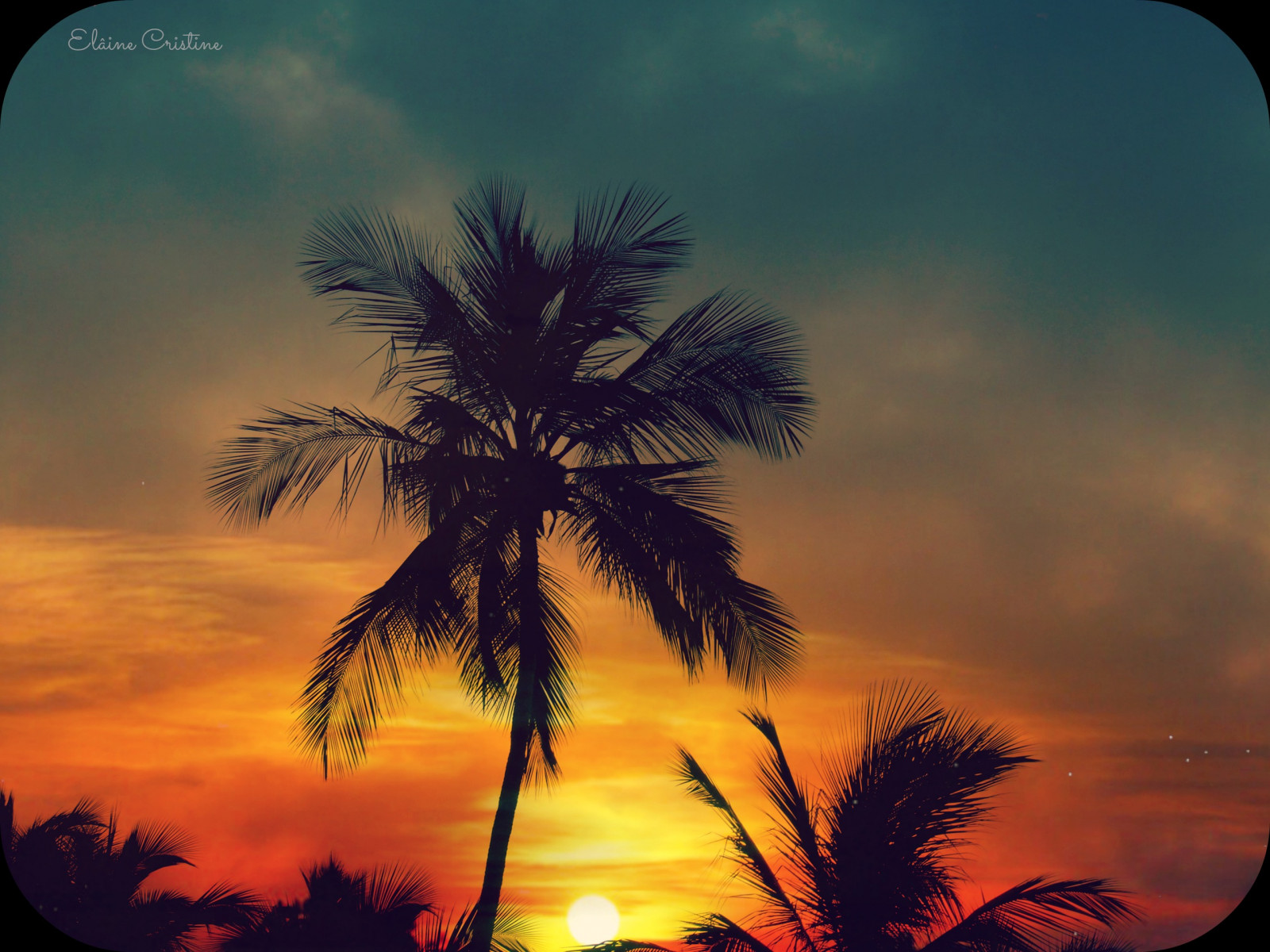 sollys, solnedgang, natur, rød, himmel, fotografering, solopgang, gul, blå, aften, morgen, Sol, struktur, horisont, atmosfære, fantasi, årgang, pastel, skumring, Sombra, azul, Sol, toner, 2014, KUNST, lys, Sky, træ, farver, flickr, blomst, dage, daggry, plante, naturaleza, dia, farver, portrait, Fotografia, natureza, kerner, pordosol, silhueta, luz, tarde, brasilemimagens, laranja, klik, tons, detalhes, colorido, Amarelo, recife, Pernambuco, jord plante, blomstrende plante, vedplante, Tonos, arecales, palme familie, criatividade, Poesia, Afslappet, ideia, criativa, Ilumina, lomograpy, lainecristine, pe, quartasunset, CEU, cermelho