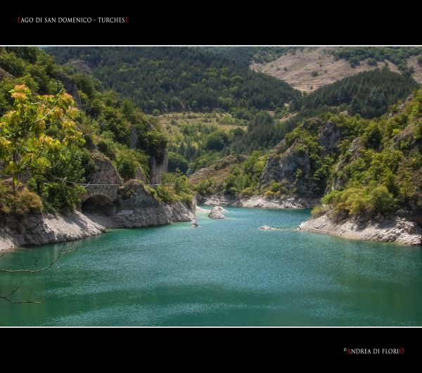 landscape,sea,bay,lake,water,forest