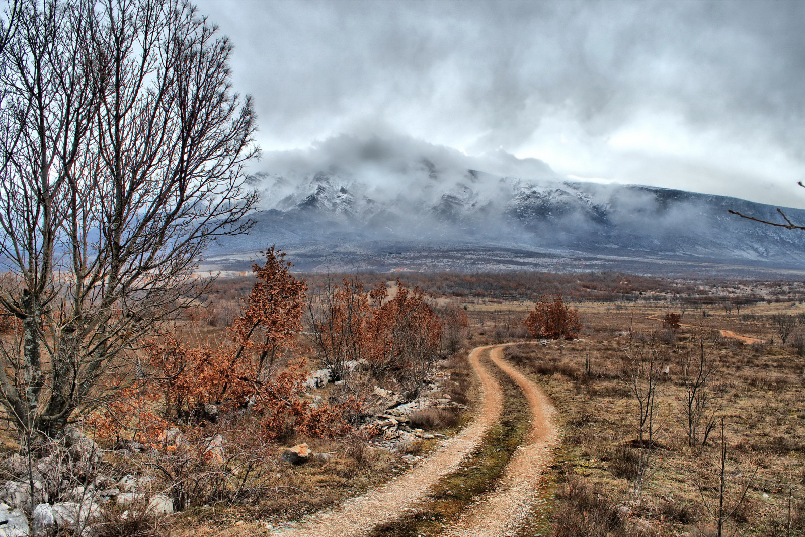 Wallpaper road, trees, mist, mountain, snow, tree, weather, clouds