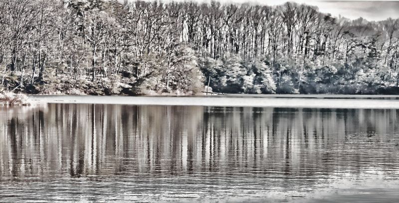 jezero, voda, Příroda, odraz, stromy, černobílý jezero, voda, Příroda, odraz, stromy, černobílý