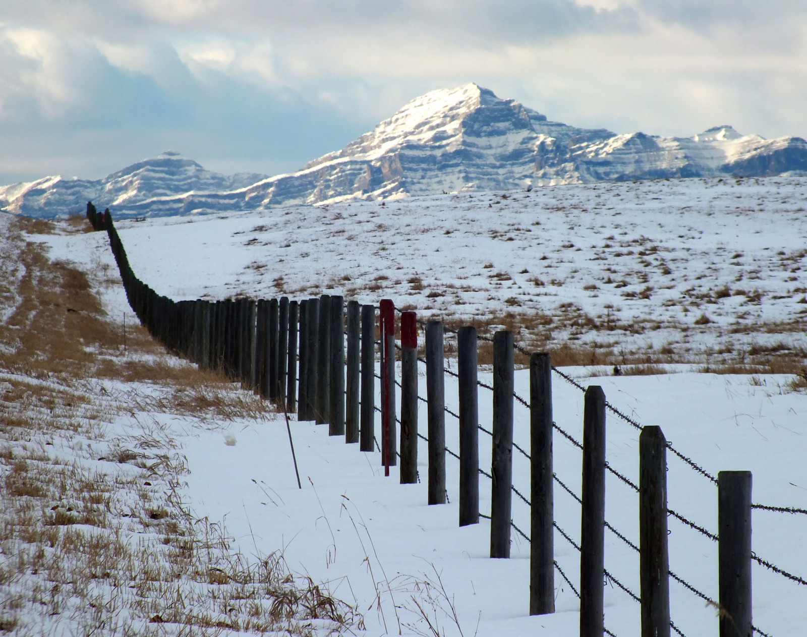 krajina, nebe, sníh, zima, led, Kanada, plot, Arktický, Alpy, Alberta, zmrazení, tundra, mrak, hora, HFF, g n neniyisithebestofday, clickcamera, fencedfriday, horských reliéf, geologický fenomén, pohoří, ledová landform, klesl, Cochrane