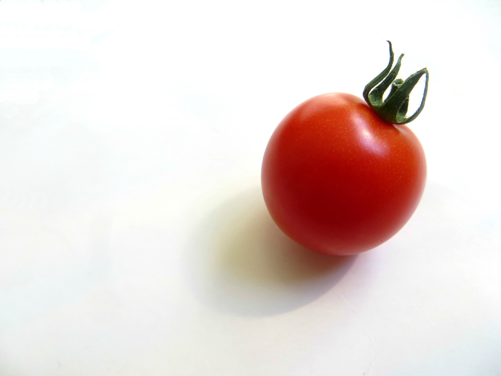 Červené, makro, ovoce, zahrada, rajče, šťavnatý, minimální, jednoduchý, zralý, Cherry rajče