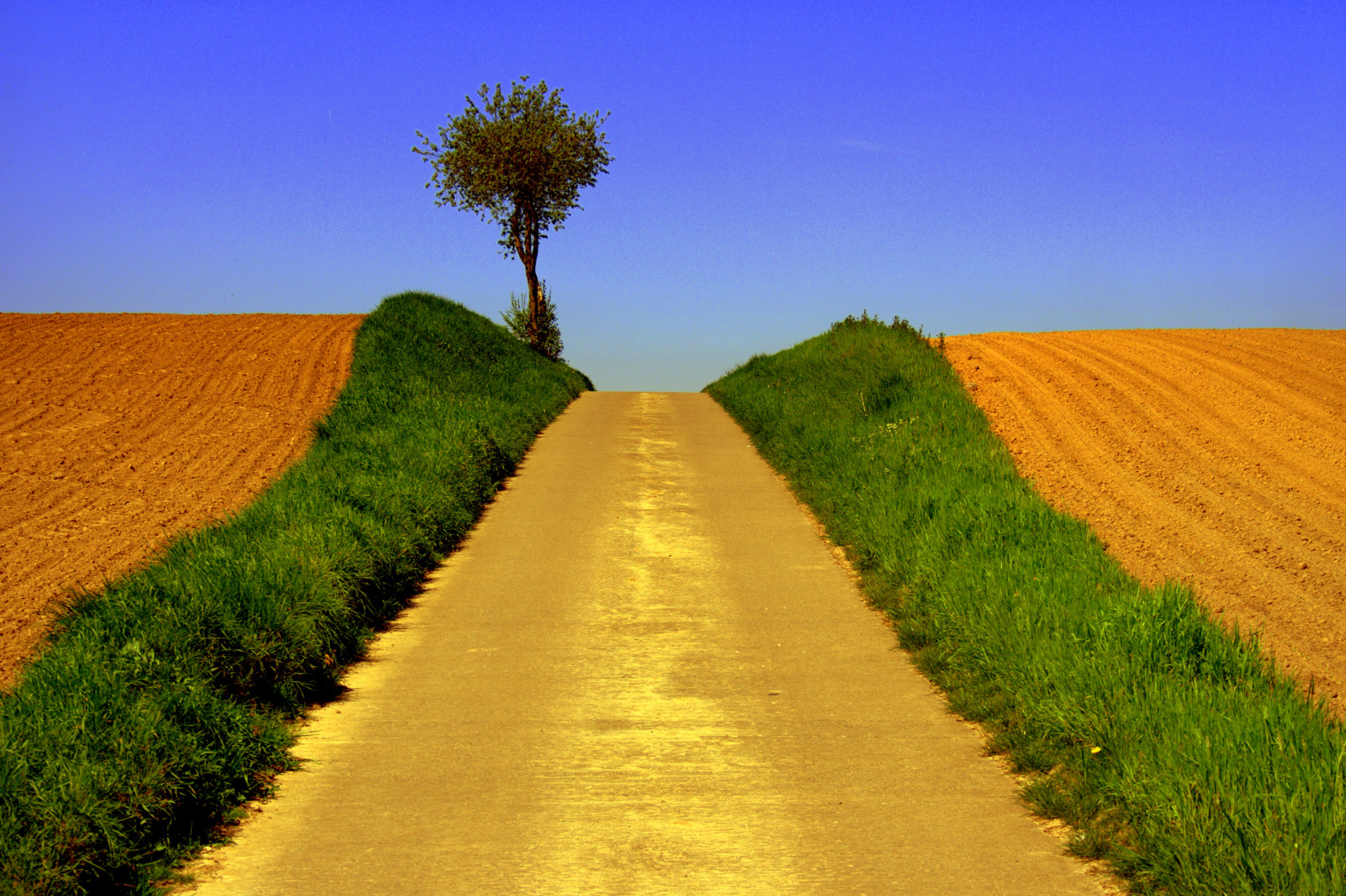 arancia, grande, Bravo, soe, mamma, Wallonie, naturesfinest, bigmomma, Supershot, magicdonkey, cy2, challengeyouwinner, 3wayicon, abigfave, supershots, Duetos, Defidefiouiner, anawesomeshot, colorphotoaward, superaplus, aplusphoto, ltytr2, ltytr1, holidaysvacanzeurlaub, irresistiblebeauty, superbmasterpiece, treesubject, youvsthebest, megashot, bestofr, Remicourt, theunforgettablepictures, photofaceoffwinner, A3B, Kudosinviteonly, Esplorare il paradiso, thepinnaclehof