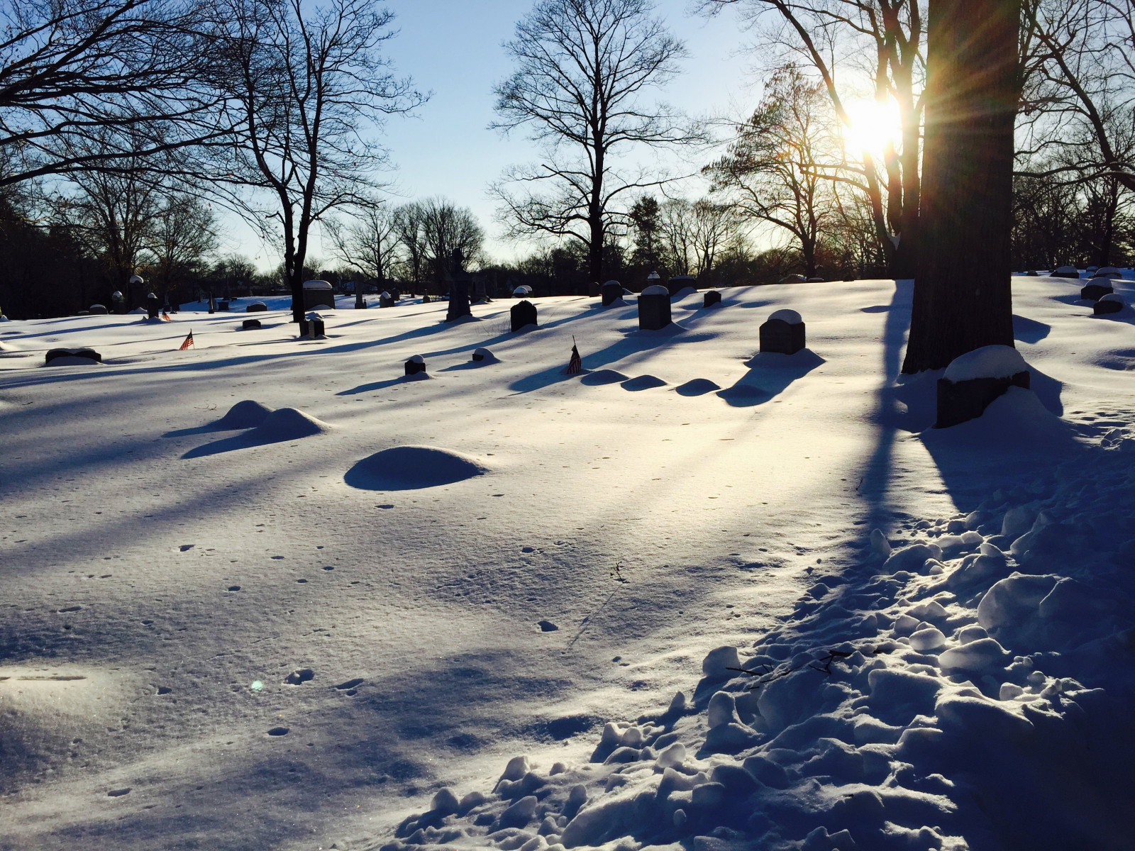 slunečnímu záření, sníh, zima, led, ráno, slunce, 2015, zmrazení, strom, počasí, sezóna, hřbitov, náhrobky, Attleboro
