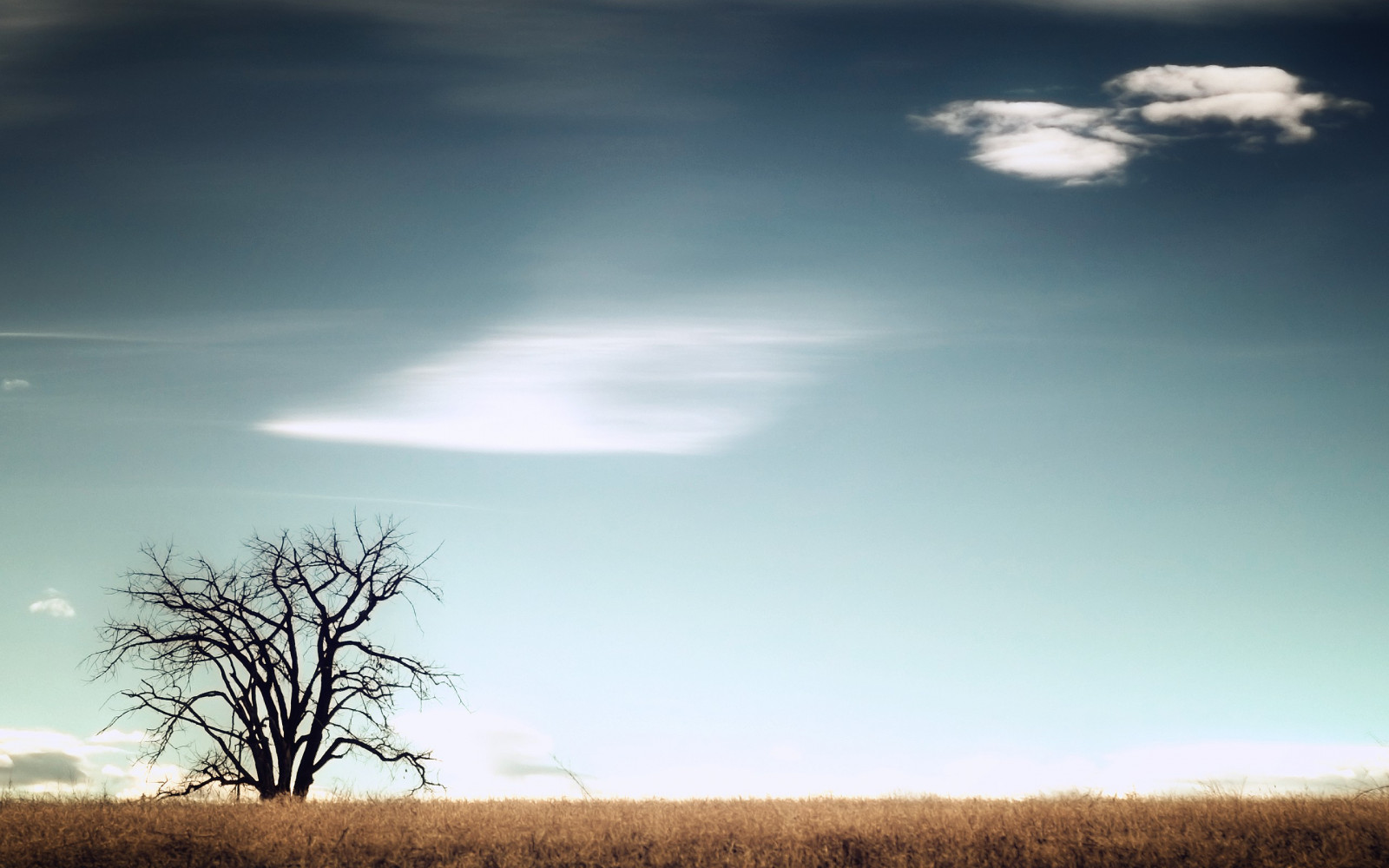 slunečnímu záření, stromy, západ slunce, Příroda, tráva, nebe, pole, večer, ráno, slunce, vítr, horizont, atmosféra, soumrak, světlo, mrak, strom, svítání, prostý, atmosférický jev, Atmosféra Země, meteorologický jev