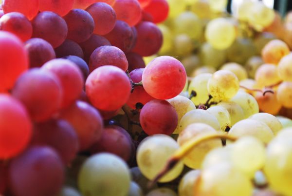 berries,fruits,grapes