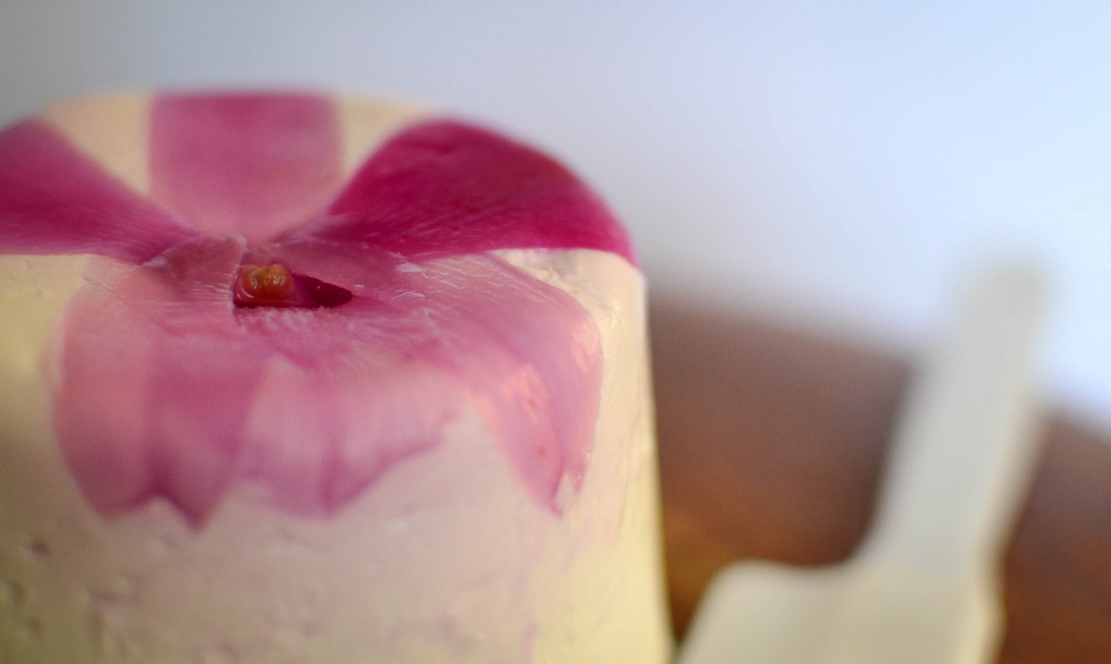 Wallpaper chevre, goat, cheese, saycheese, macro, macromondays