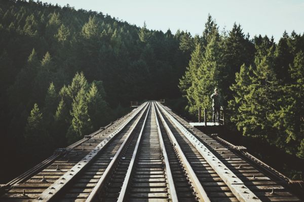 nature,forest,vehicle,railway,transport,track
