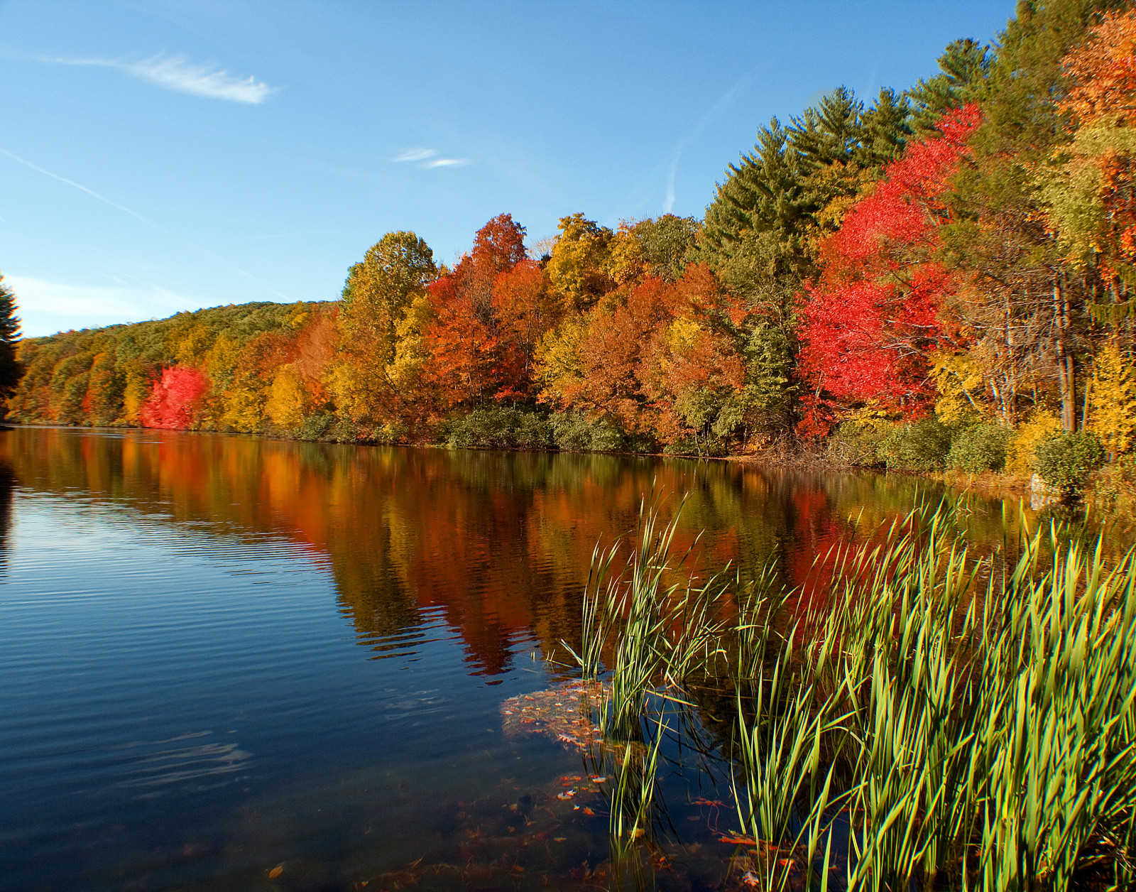 Fondos de pantalla : Árboles, paisaje, otoño, lago, agua, rojo