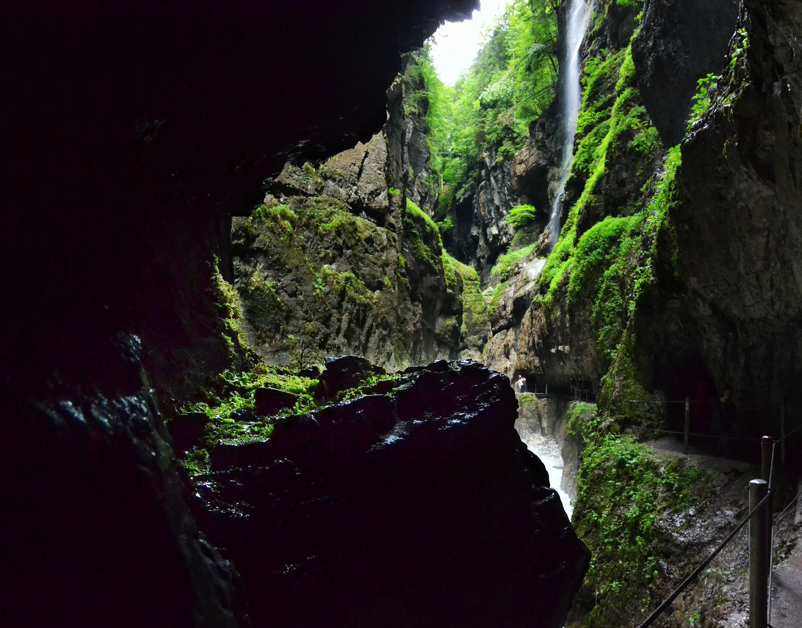 European Ravines Wallpaper : trees, landscape, fall, dark, water, rock, rain, moss ...
