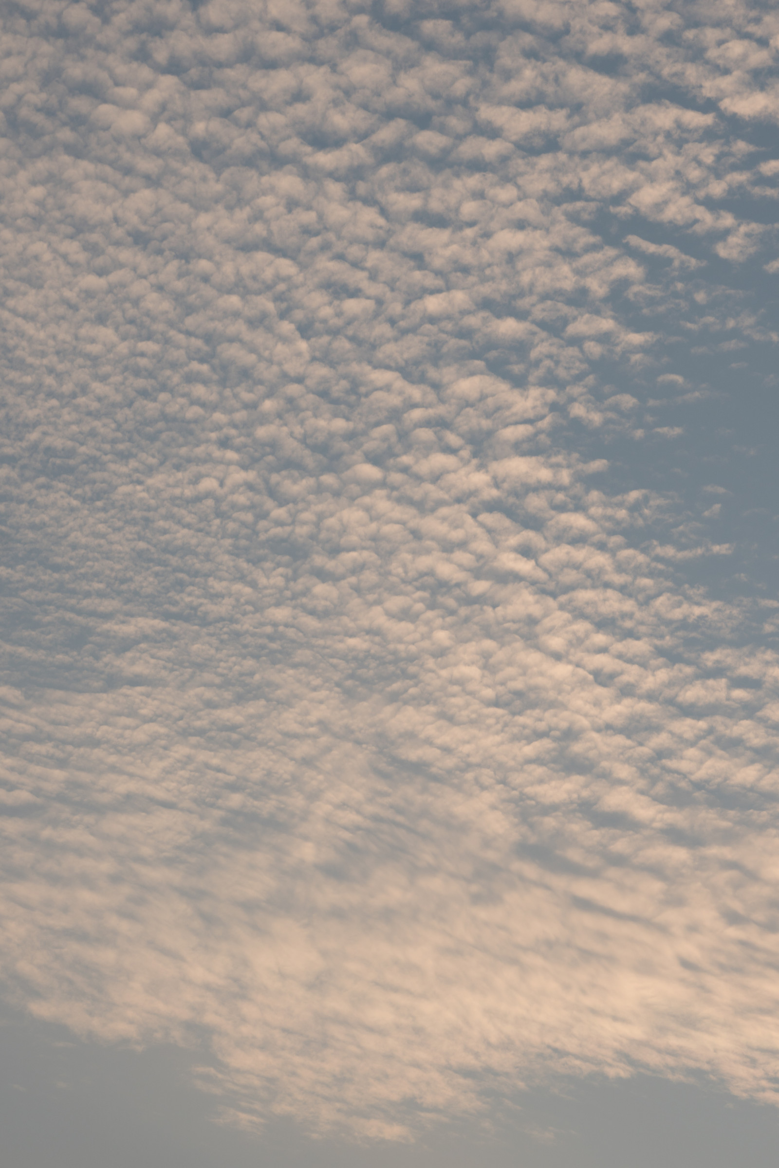 Japonsko, slunečnímu záření, západ slunce, nebe, mraky, horizont, Sony, atmosféra, Tokio, jp, F4, mrak, G, svítání, CC, a6300, 6300, CreativeCommons, fe70200mm, fe70200mmf4goss, fe, 70200 mm, oss, Atmosféra Země, meteorologický jev