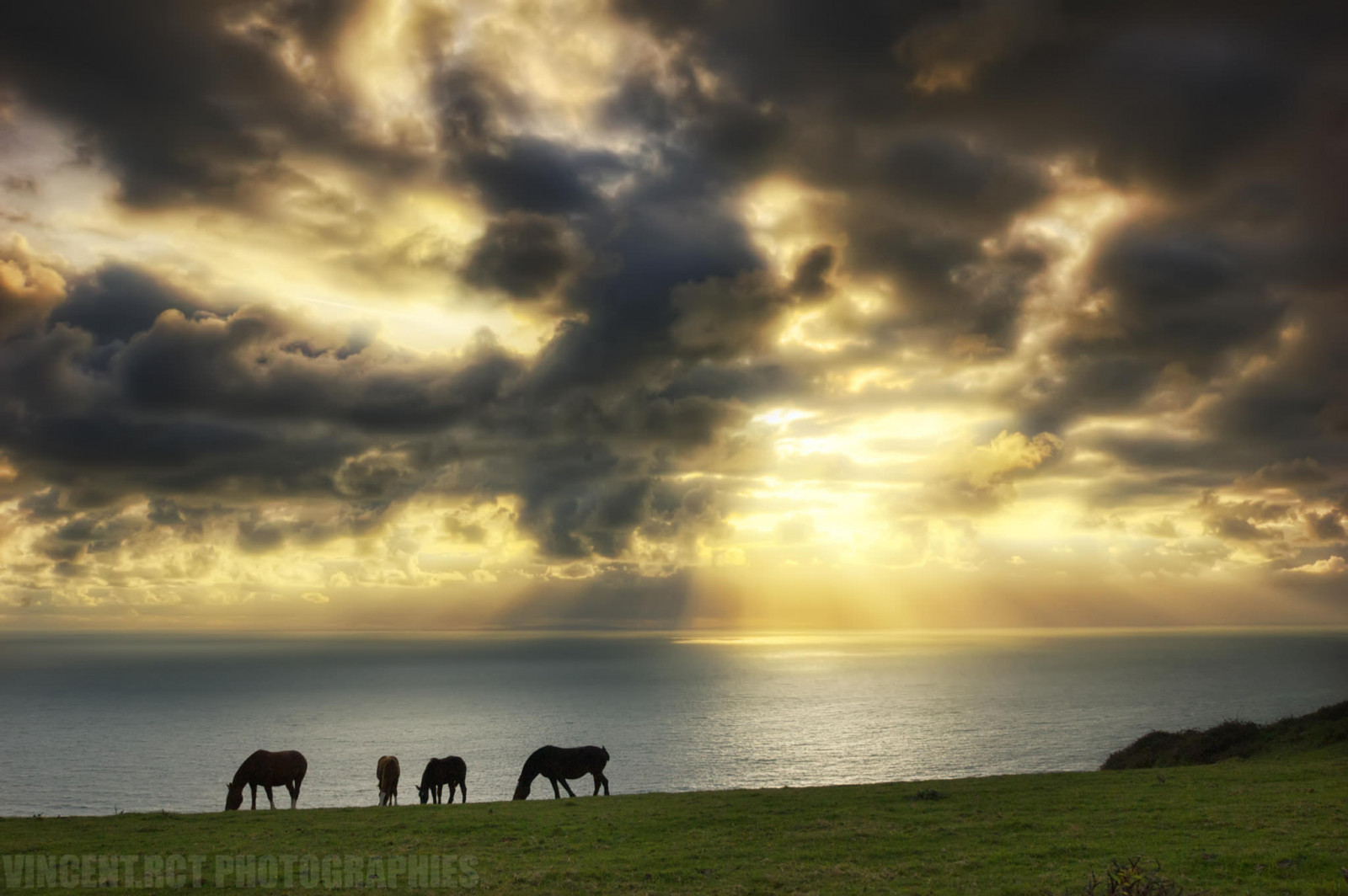 slunečnímu záření, krajina, zvěř, západ slunce, moře, kůň, tráva, nebe, fotografování, mraky, pláž, svítání, uklidnit, večer, ráno, slunce, HDR, horizont, atmosféra, Nikon, Francie, soumrak, dynamický, světlo, mrak, paprsky, strom, Tamron, vysoký, rozsah, svítání, lučina, prozkoumat, waterscape, oceán, přímořská krajina, mraky, plage, přední strana, počítač tapeta, normandie, meteorologický jev, 1024, ekoregion, nikond70s, Photographies, bassenormandie, D70s, haaghun, haaghungmailcom, bestof2010, herquemoulin