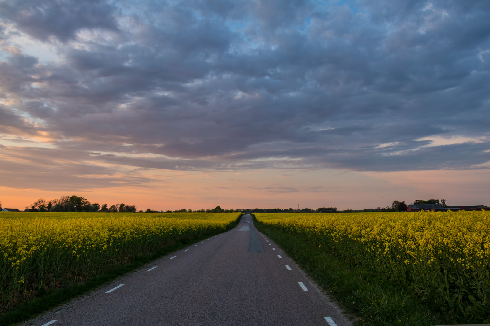slunečnímu záření, krajina, západ slunce, Příroda, tráva, nebe, pole, silnice, svítání, večer, ráno, horizont, Dálnice, soumrak, infrastruktura, řepkového, mrak, květ, svítání, lučina, solnedg ng, venkov, landsbygd, v g, f lt, s dersl tt, landskap, exif modelu canoneos760d, geocountry, Kamera aby kánon, geocity, Model fotoaparátu canoneos760d, geostate, geolocation, EXIF čočka efs18200mmf3556is, EXIF otvor 56, exif aby kánon, EXIF isospeed 100, exif focallength 18mm, zemědělství, louka, prostý, prérie, venkov, tráva rodina, brassica, hořčice závod