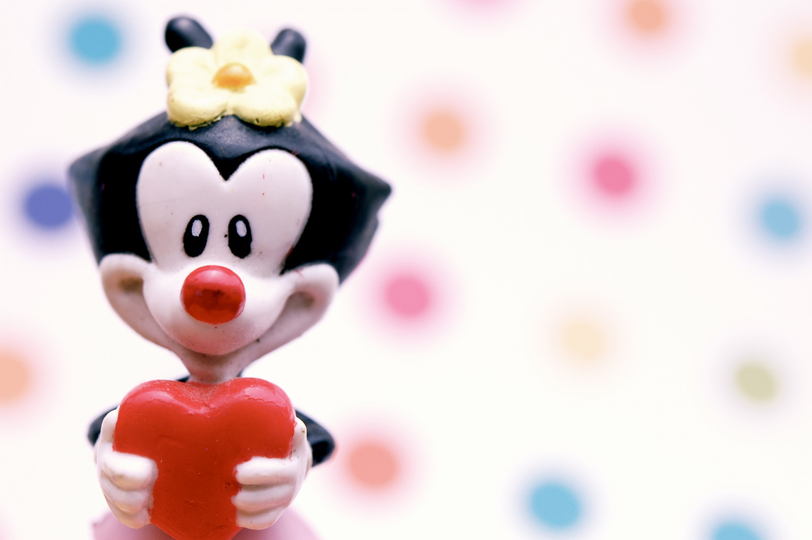 favorit, hvid, sjovt, Legetøj, Foto, billede, billede, punktum, CC, figur, char, Animaniacs, inkitchen, dotwarner, macromondays, spotsdots, jdhancock