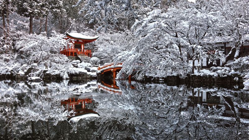 Japonsko, chrám, odraz, sníh, zima, les Japonsko, chrám, odraz, sníh, zima, les