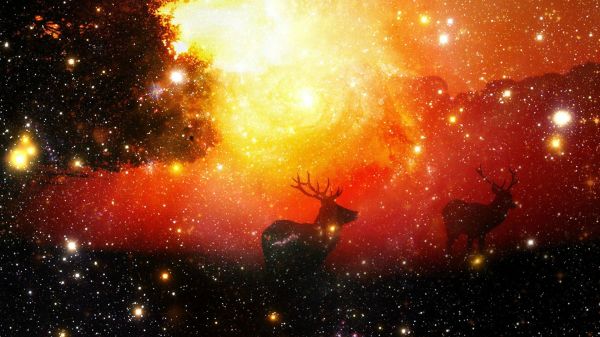 animals,trees,digital art,space,stars,nebula