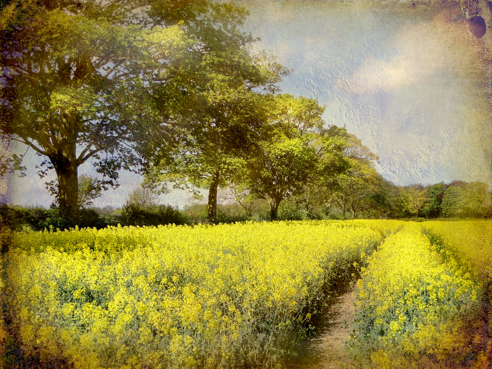 Wallpaper : ART, texture, yellow, Photoshop, landscape, countryside ...