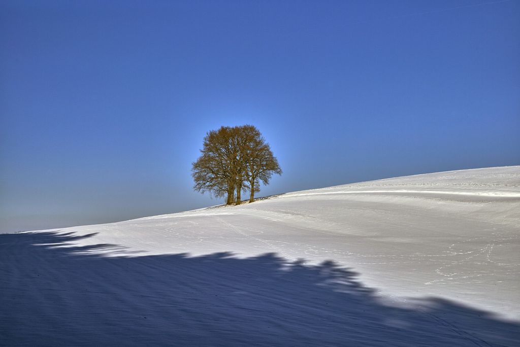 slunečnímu záření, písek, sníh, zima, led, Německo, horizont, Arktický, Leica, Bavaria, hora, počasí, sezóna, deutschland, piste, leicam, typ240, Schnee, bayern, místo výskytu, přírodní prostředí, Severní ledový oceán, leden, colorefexpro4, baumgruppe, Degerndorf, degerndorferh on, captureone9, leicasummilux50mmf14asph