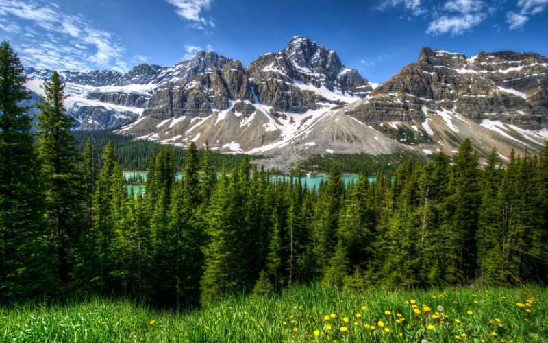 landscape, forest, lake, nature, national park, valley landscape, forest, lake, nature, national park, valley