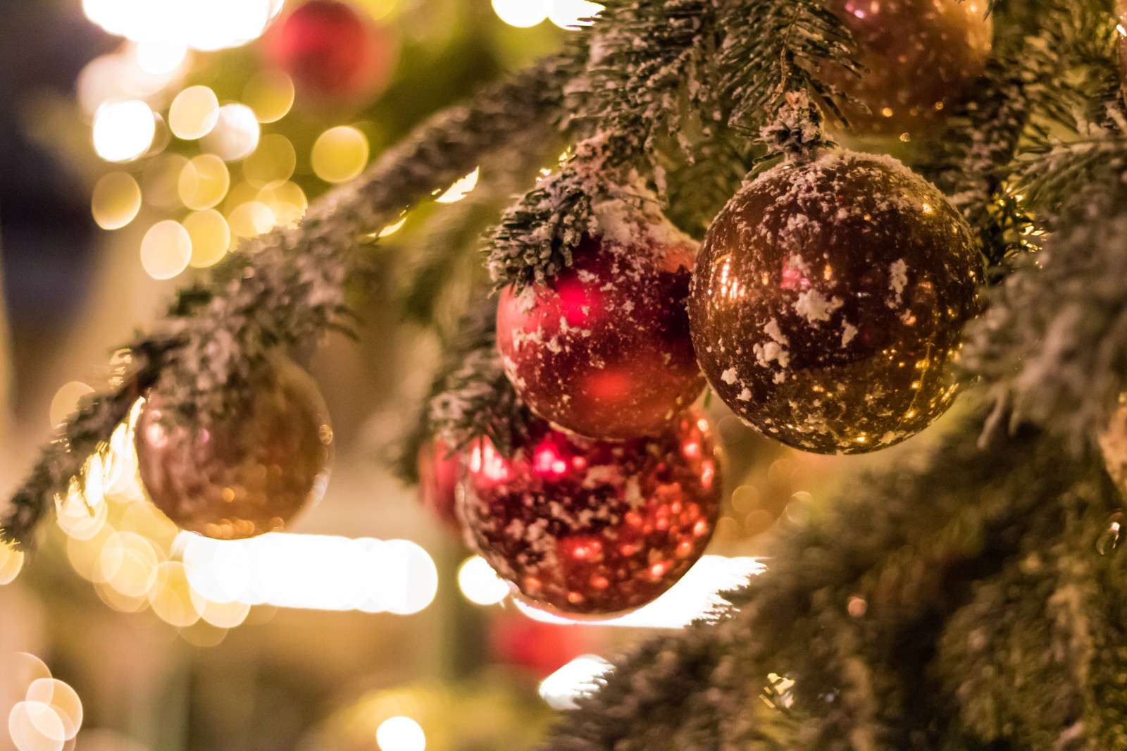 notte, ramo, Albero di Natale, Natale, bokeh, vacanza, Danimarca, evento, albero, natale, albero di Natale, julgran, julgranskulor, luglio, Danmark, nightphotography, tivoli, notte, modello canoneos760d exif, geocountry, Marca fotocamera Canon, Geocity, modello di fotocamera canoneos760d, geostate, geolocalizzazione, exif fare canon, exif focalLength 50 millimetri, exif ISOSPEED 6400, ef50mmf18stm lente exif, apertura exif 20, kopenhavn, k penhamncopenhagen, ornamnents, arredamento, decorazione natalizia