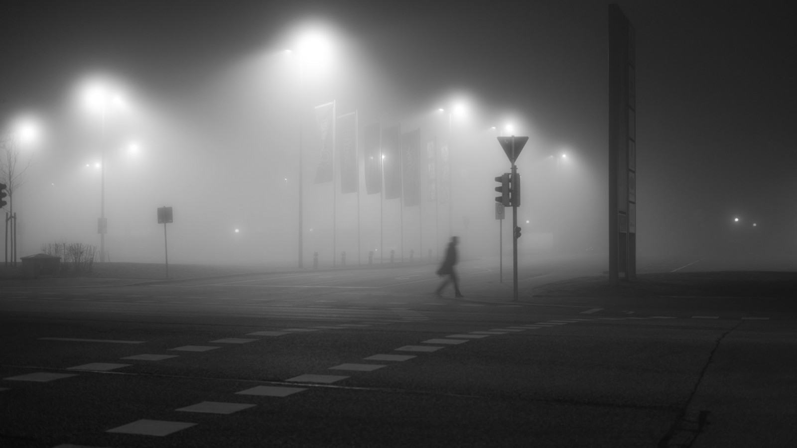 strada luce, nero, monocromo, notte, cielo, fotografia, sera, mattina, nebbia, atmosfera, nebbioso, foschia, mezzanotte, leggero, nebbia, alba, bw, illuminazione, oscurità, atmosfera della terra, bianco e nero, fotografia in bianco e nero, lampada, fenomeno