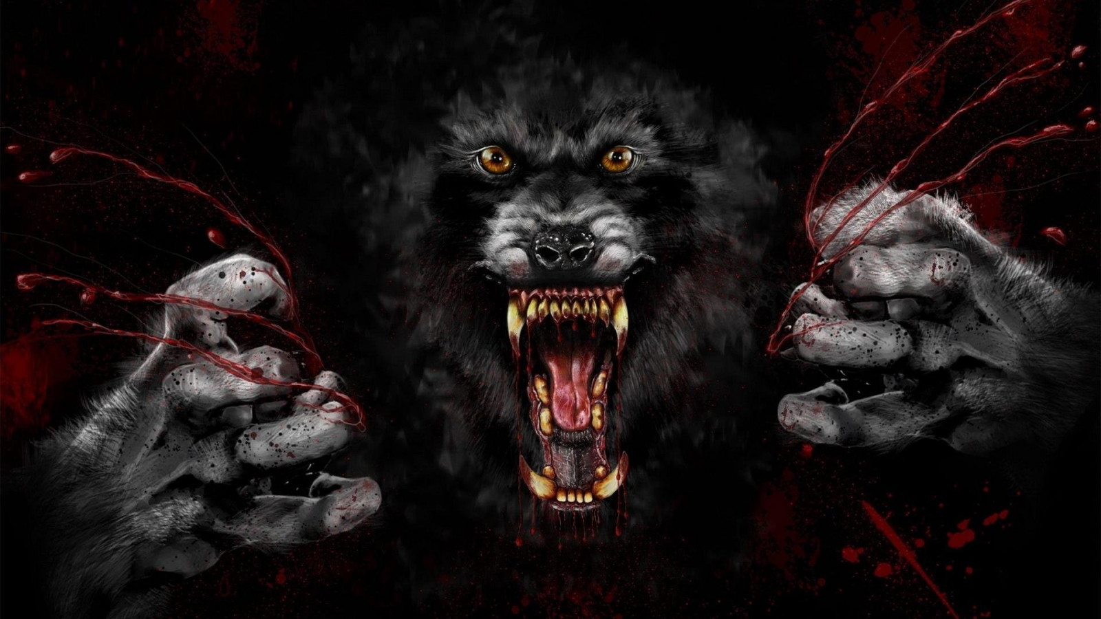 Wallpaper : 1920x1080 px, 265723 1920x1080 - wallpaperUp - 1602493 - HD ...